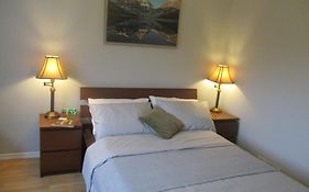 High Park Double Room With Exclusive Washroom Kitchen And Living Rooms